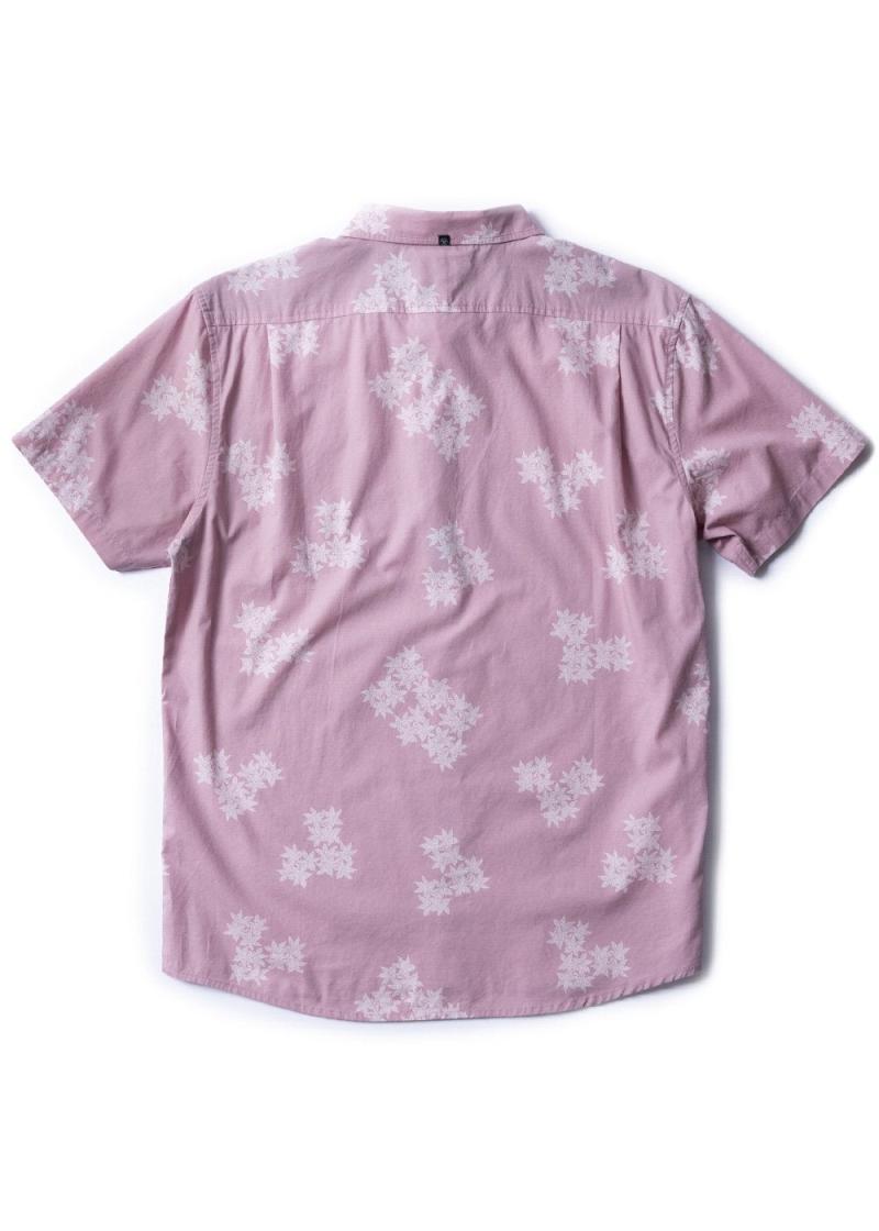 Vissla Mens Sodwana Eco Ss Shirt Dusty Rose